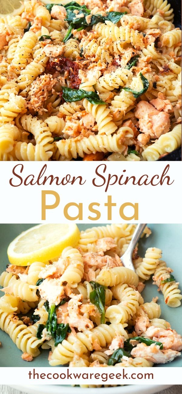 Salmon Pasta With Sun-Dried Tomatoes - The Cookware Geek