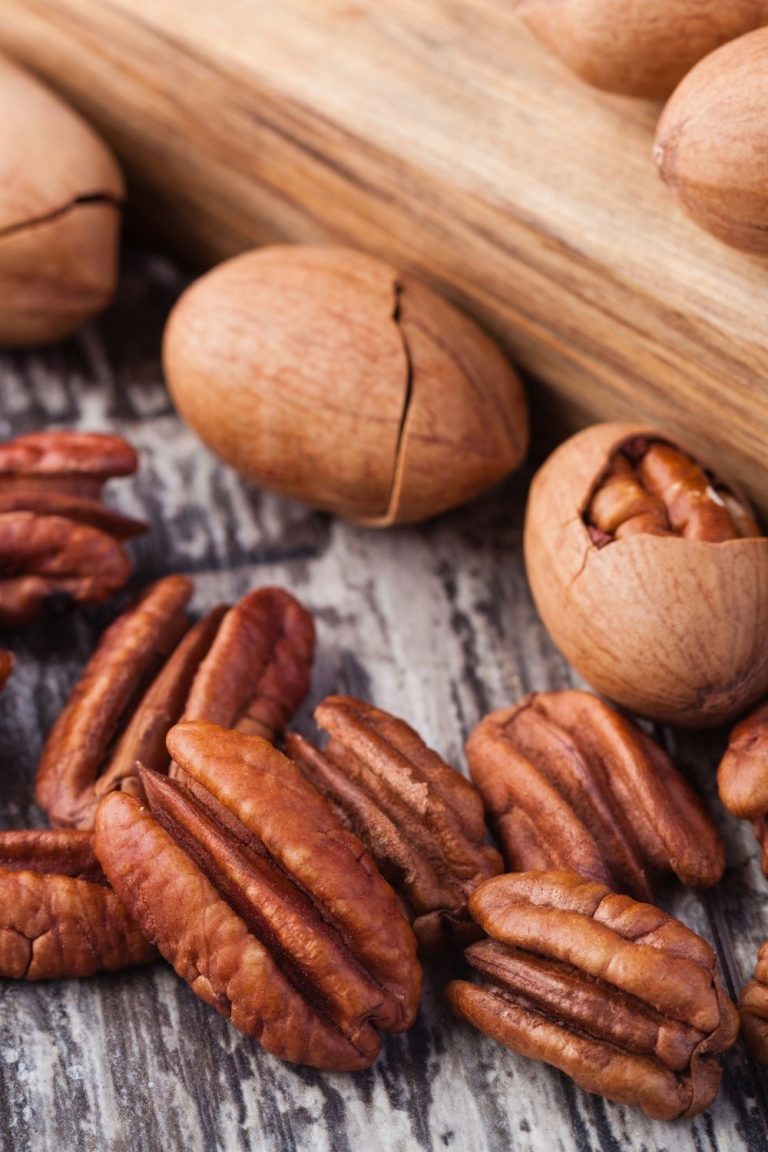 Pecans vs Walnuts What's the difference The Cookware Geek
