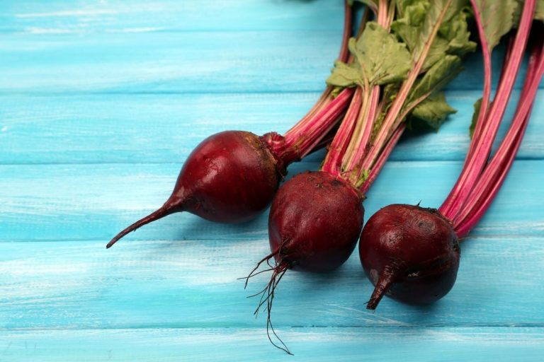 Vegetable Stems That We Can Eat Safely A Guide To Edible Stems The vegetable-stems-that-we-can-eat-safely-a-guide-to-edible-stems-the