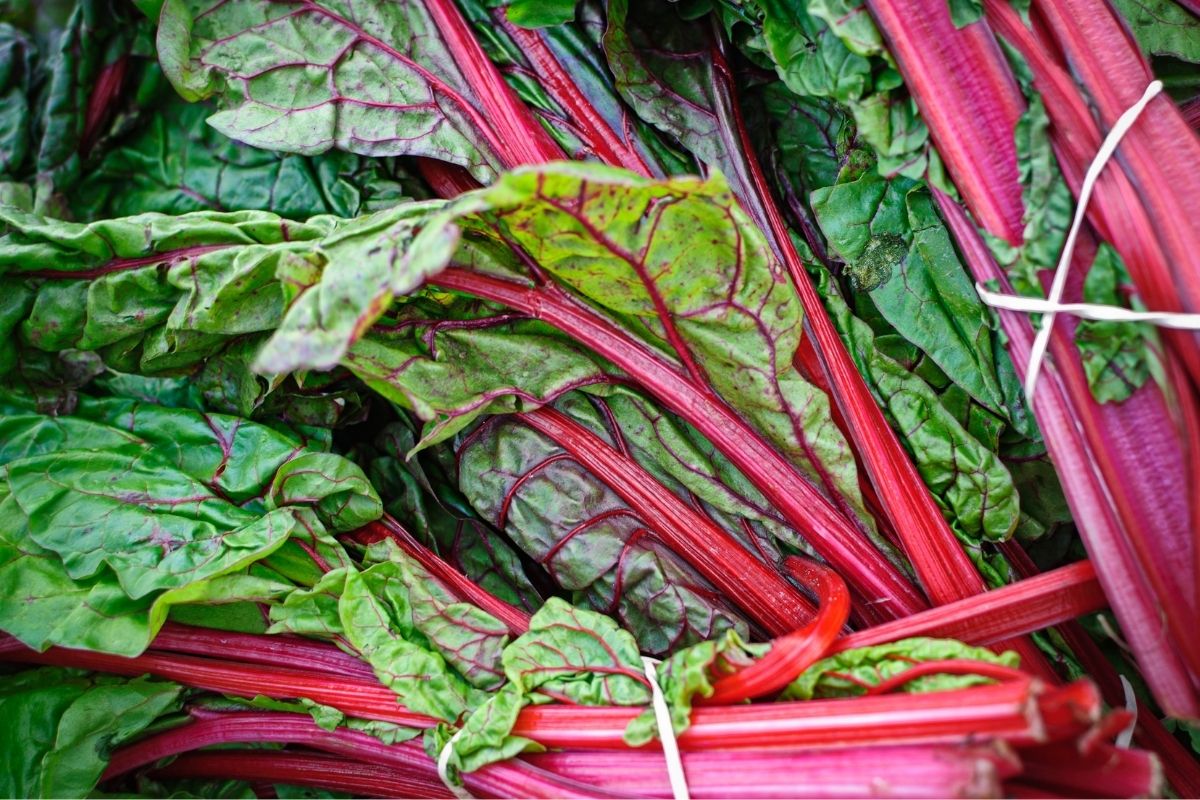 Vegetable stems that we can eat safely A guide to edible stems The